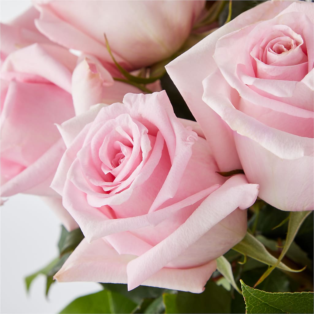 Picture Perfect Pink Rose Bouquet – MILLER'S FLOWERS, Racine WI