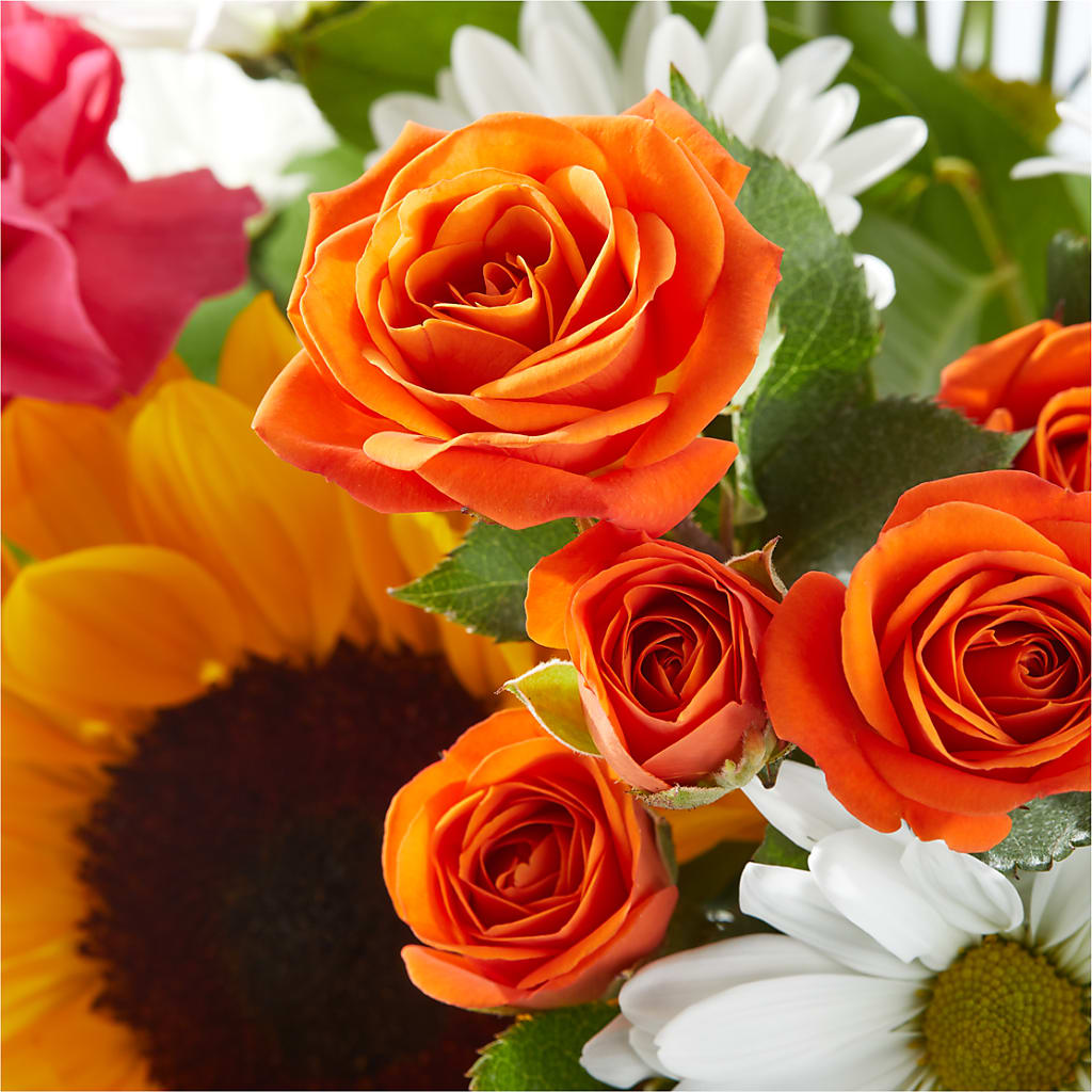 Sun-drenched Blooms Bouquet – MILLER'S FLOWERS, Racine WI