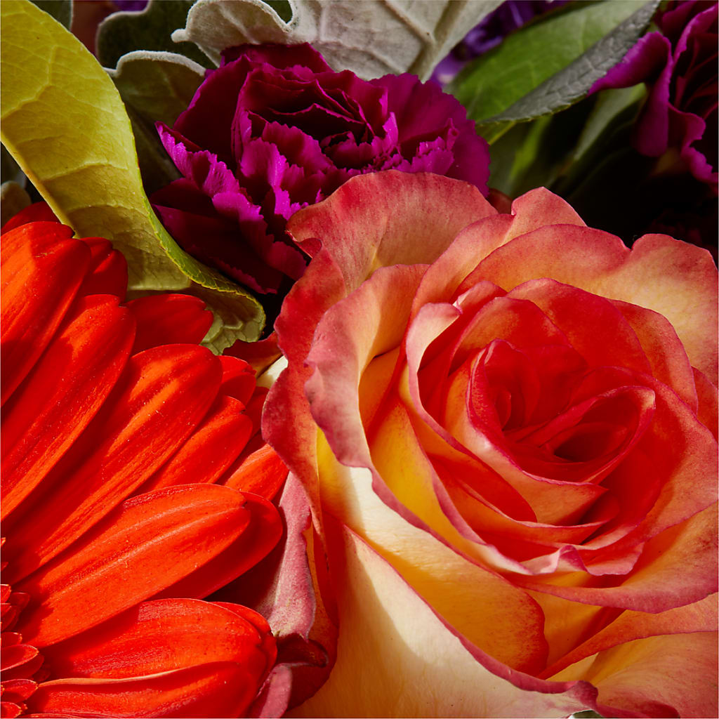 Sangria Bouquet – MILLER'S FLOWERS, Racine WI