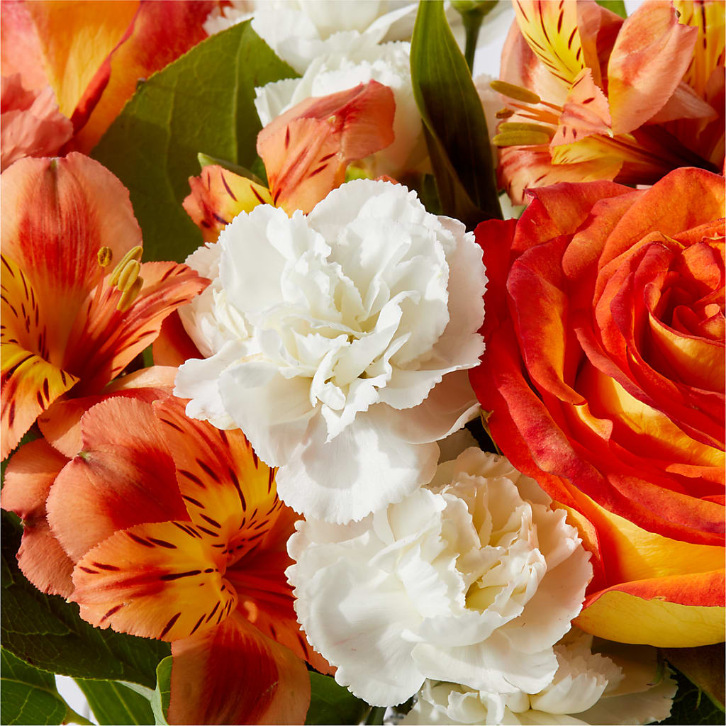 Apricot Glow Bouquet – MILLER'S FLOWERS, Racine WI