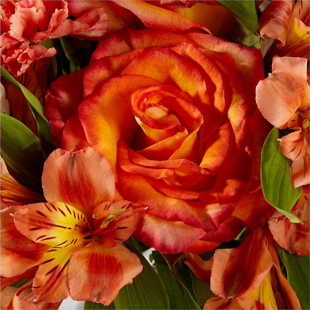 Apricot Glow Bouquet – MILLER'S FLOWERS, Racine WI
