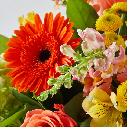 Autumn Sunshine Bouquet – MILLER'S FLOWERS, Racine WI