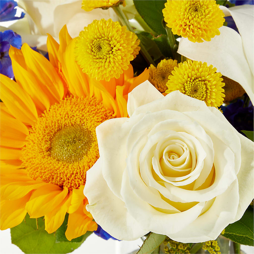 Stargazing Bouquet – MILLER'S FLOWERS, Racine WI