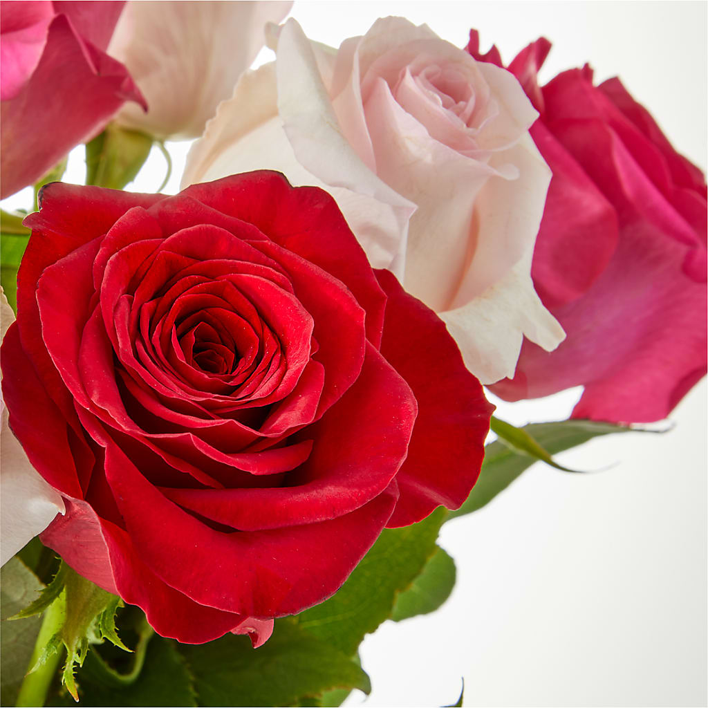 Charming Rose Bouquet – MILLER'S FLOWERS, Racine WI