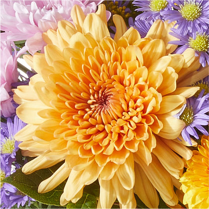 Countryside Bouquet – MILLER'S FLOWERS, Racine WI
