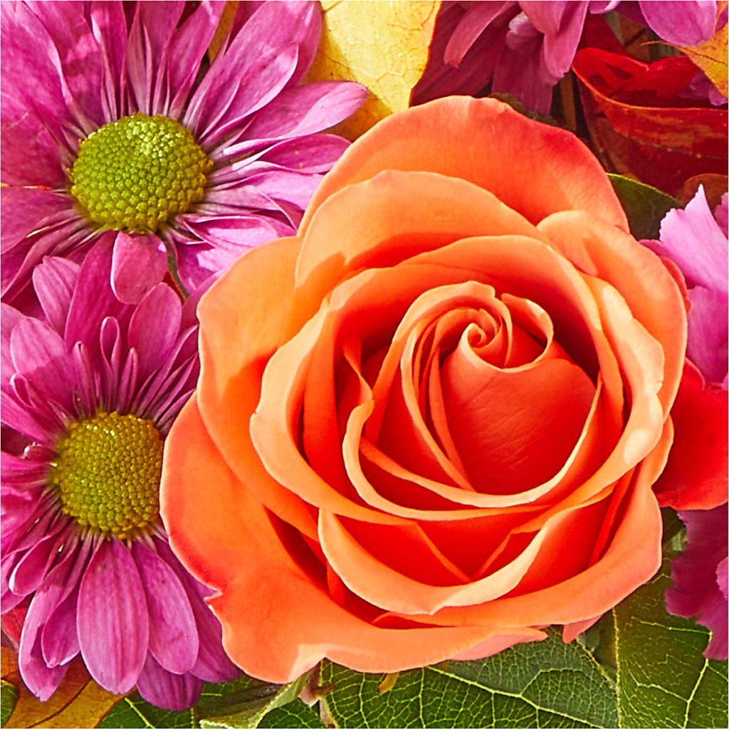 Mum's the Word Bouquet – MILLER'S FLOWERS, Racine WI