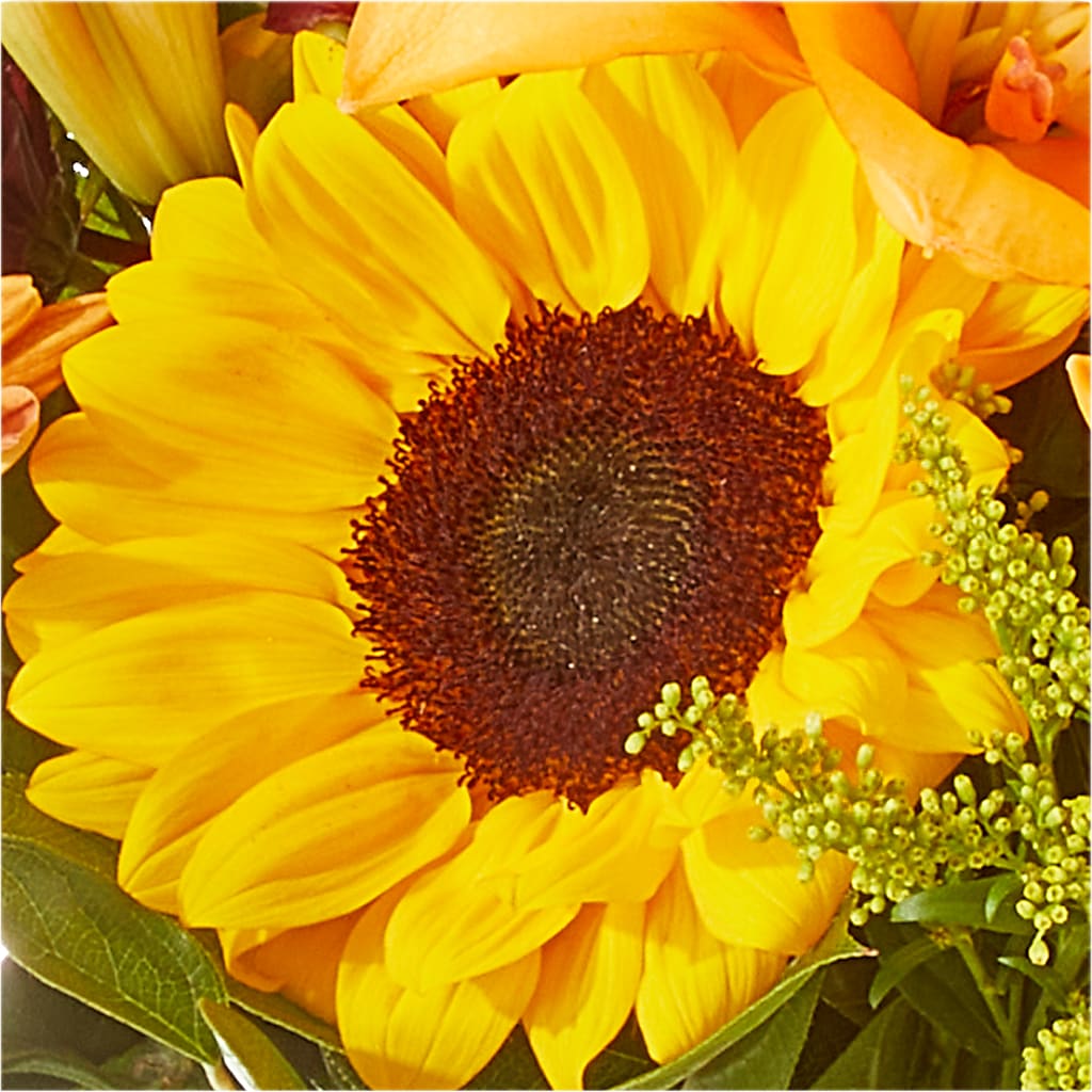 Seasons Change Bouquet – MILLER'S FLOWERS, Racine WI