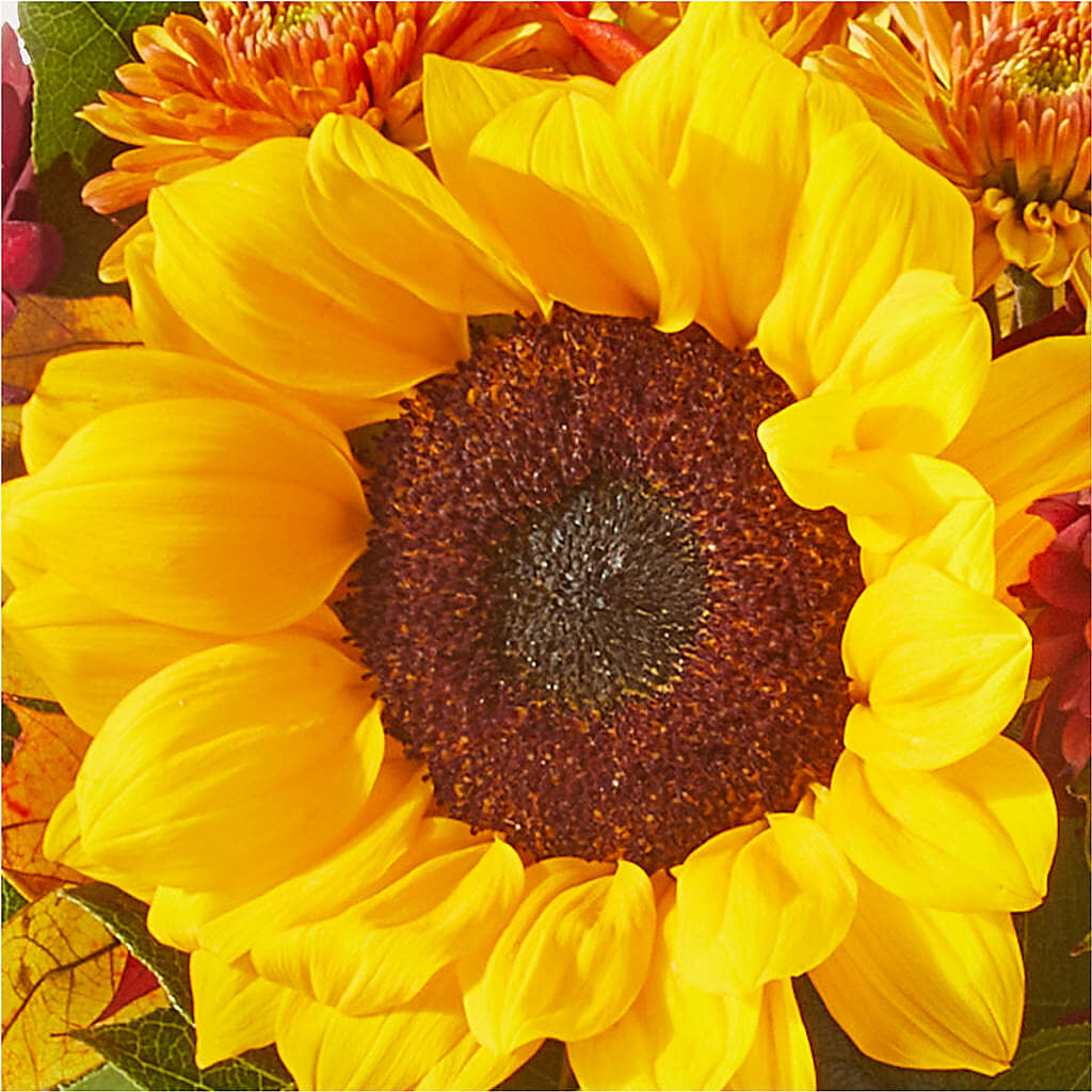 Sunny Side Bouquet – MILLER'S FLOWERS, Racine WI