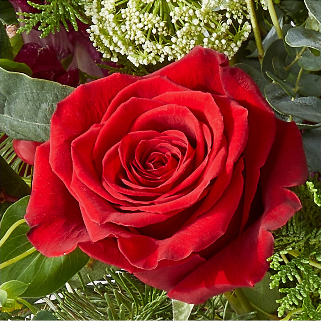 Cranberry Fizz Bouquet – MILLER'S FLOWERS, Racine WI