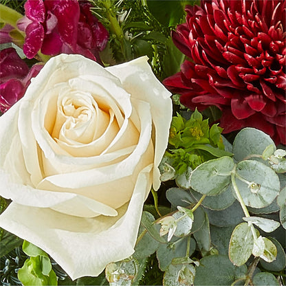 Cranberry Fizz Bouquet – MILLER'S FLOWERS, Racine WI