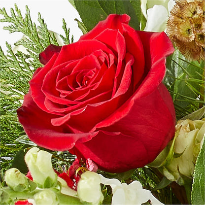 Deck the Halls Bouquet – MILLER'S FLOWERS, Racine WI