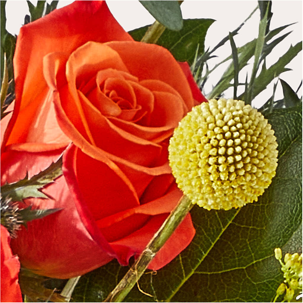 Disco Bouquet – MILLER'S FLOWERS, Racine WI