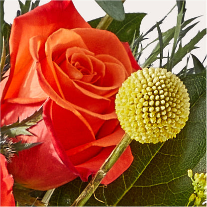 Disco Bouquet – MILLER'S FLOWERS, Racine WI