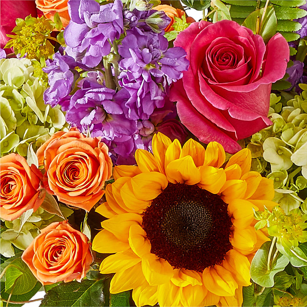 Vibrant Greetings Bouquet – MILLER'S FLOWERS, Racine WI