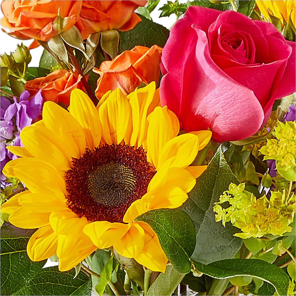 Vibrant Greetings Bouquet – MILLER'S FLOWERS, Racine WI