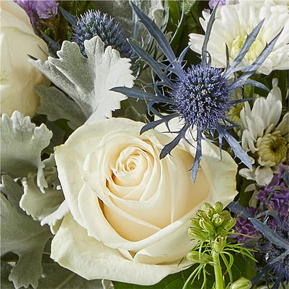 Shooting Star Bouquet – MILLER'S FLOWERS, Racine WI