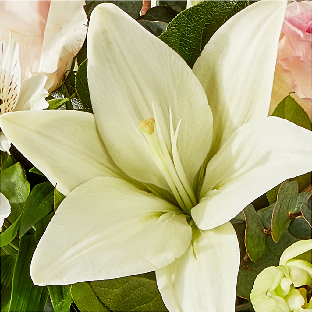 Ballet Slippers Bouquet – MILLER'S FLOWERS, Racine WI