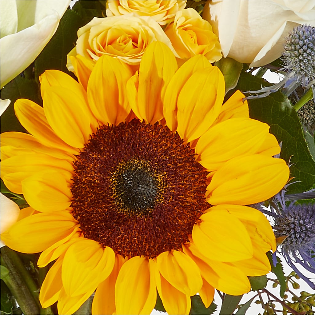 Wonderfully Sunny Bouquet – MILLER'S FLOWERS, Racine WI