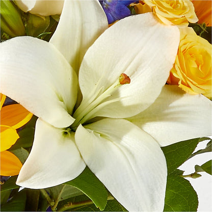 Wonderfully Sunny Bouquet – MILLER'S FLOWERS, Racine WI