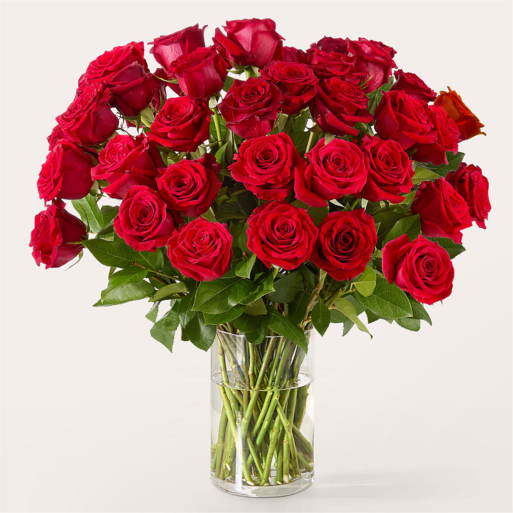 The One Red Rose Bouquet – MILLER'S FLOWERS, Racine WI
