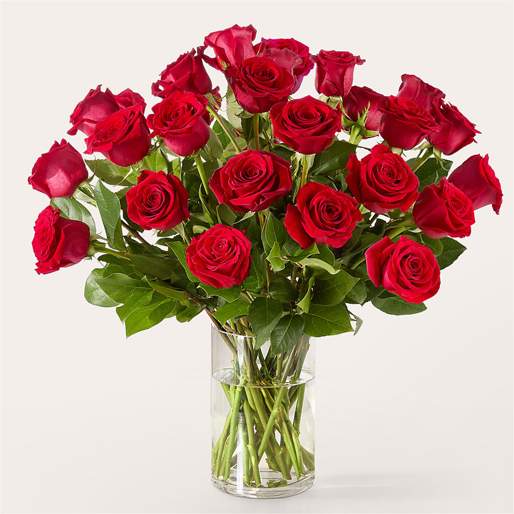 The One Red Rose Bouquet – MILLER'S FLOWERS, Racine WI