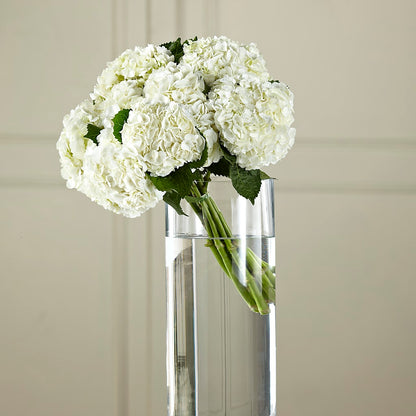 White Hydrangea Hand-Tied Bouquet – MILLER'S FLOWERS, Racine WI