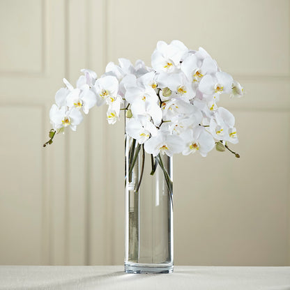 White Phalaenopsis Bouquet – MILLER'S FLOWERS, Racine WI