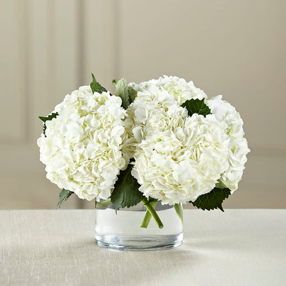 White Hydrangea Bouquet – MILLER'S FLOWERS, Racine WI